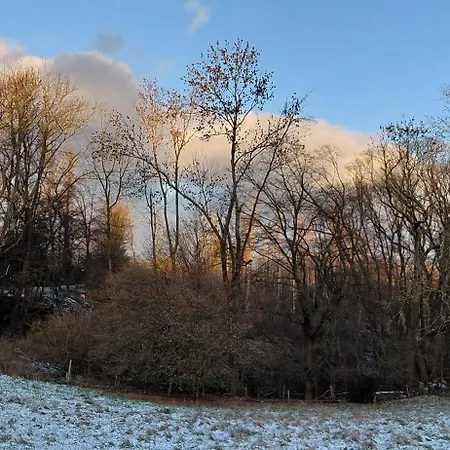 Waldzauber Wellness Dtv Geprueft Keine Monteur Horhausen (Altenkirchen)