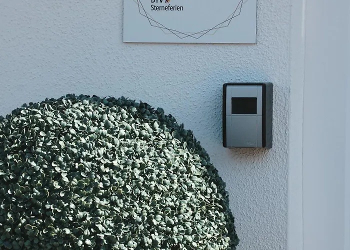 Waldzauber Dtv Geprueft * Horhausen (Altenkirchen)