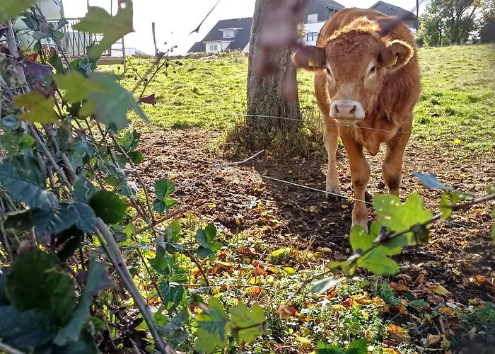 Waldzauber Dtv Geprueft Apartmán