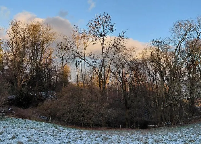Waldzauber Dtv Geprueft Horhausen (Altenkirchen)